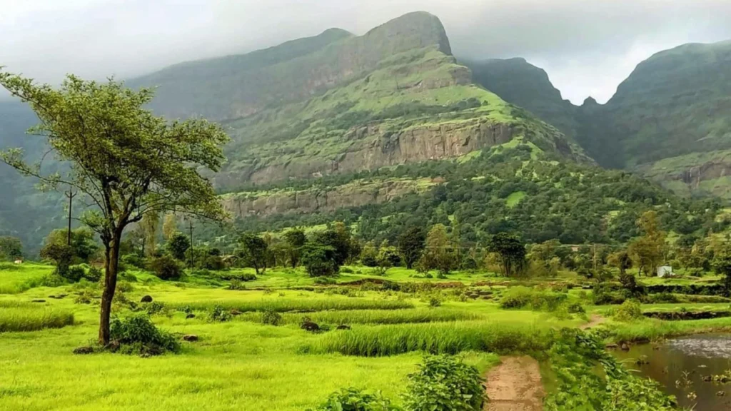 Best Places to Visit in India in August 2026 Destinations Desire Best Places to Visit in India in August 2026