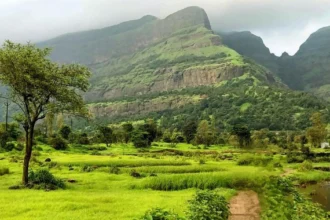 Best Places to Visit in India in August 2026