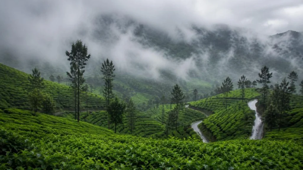Best Road Trips in India During Monsoon