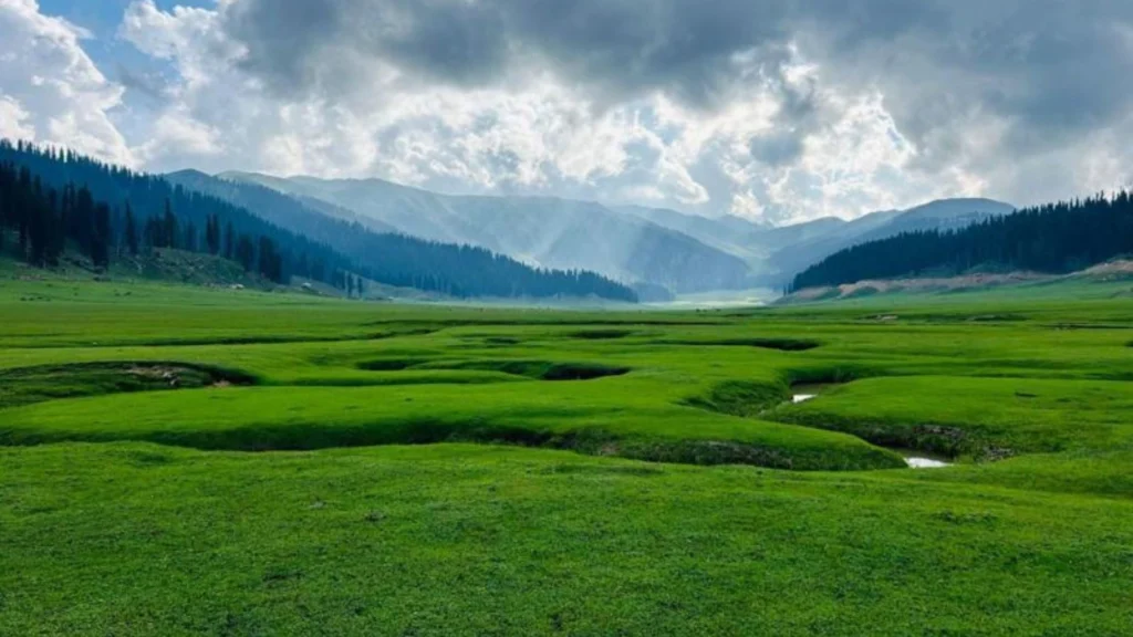 Kashmir in August