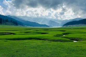 Kashmir in August