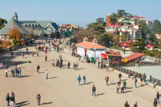 Best Hill Stations Near Delhi for Weekend Trips