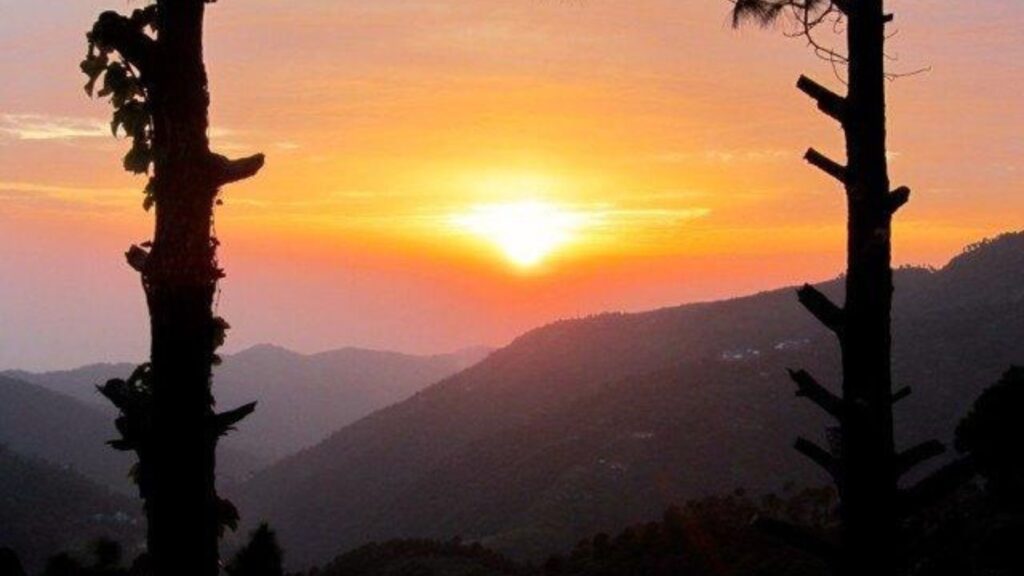 Best Hill Stations Near Delhi for Weekend Trips