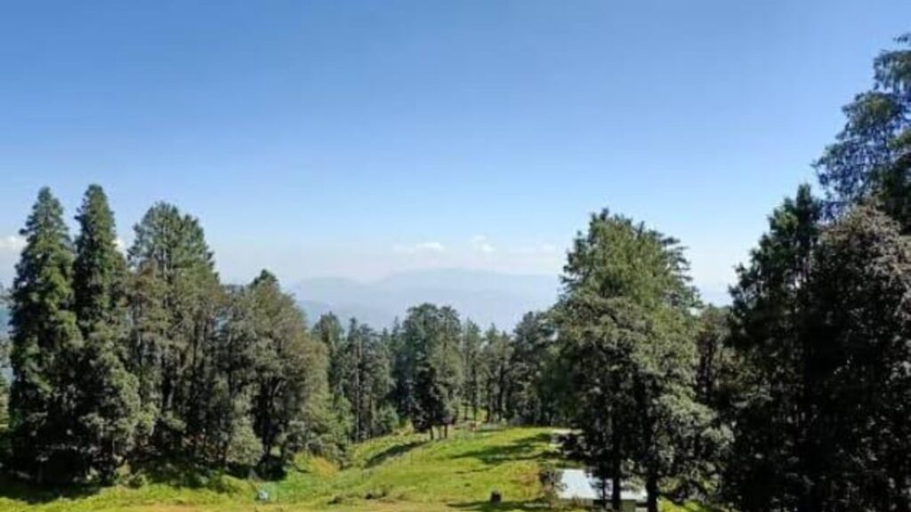 Best Hill Stations Near Delhi for Weekend Trips