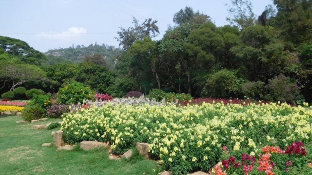 Best Hill Stations Near Delhi for Weekend Trips