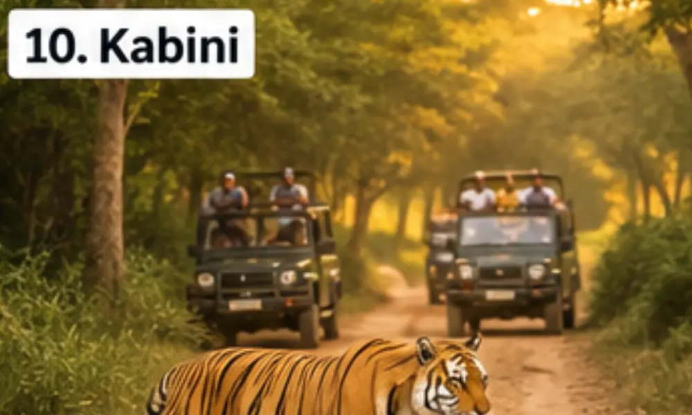 Best Places to Visit in Karnataka