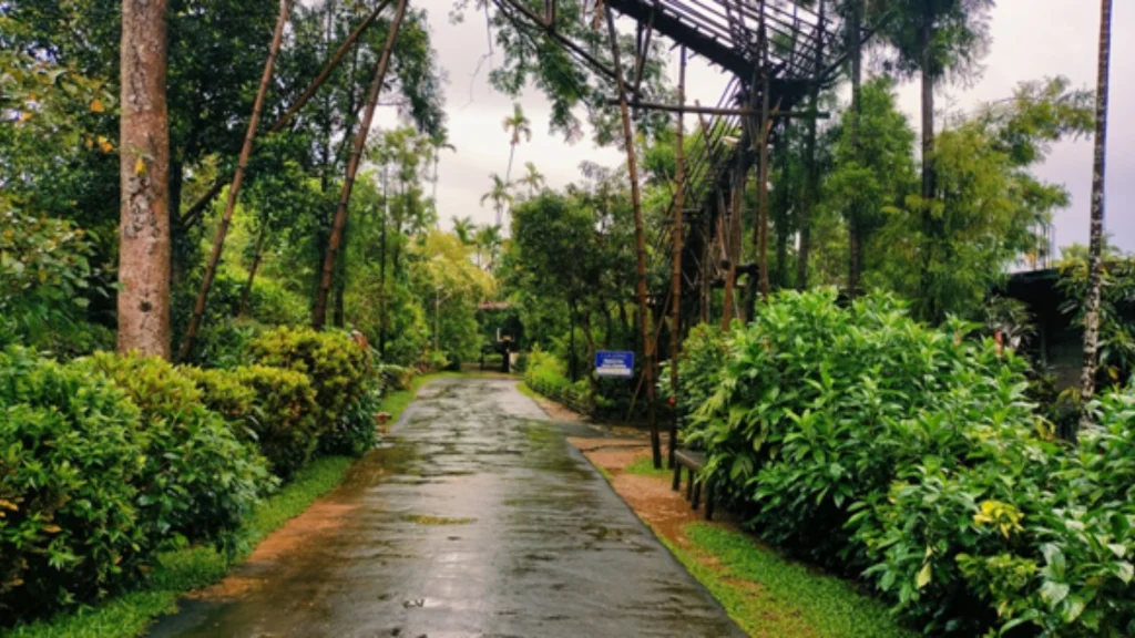 Meghalaya Travel Planner
