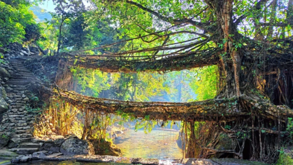 Meghalaya Travel Planner