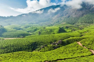 Hidden Places In Kerala