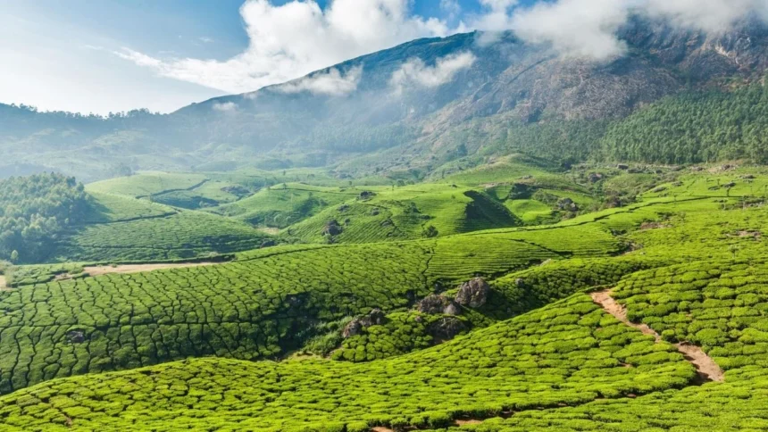 Hidden Places In Kerala