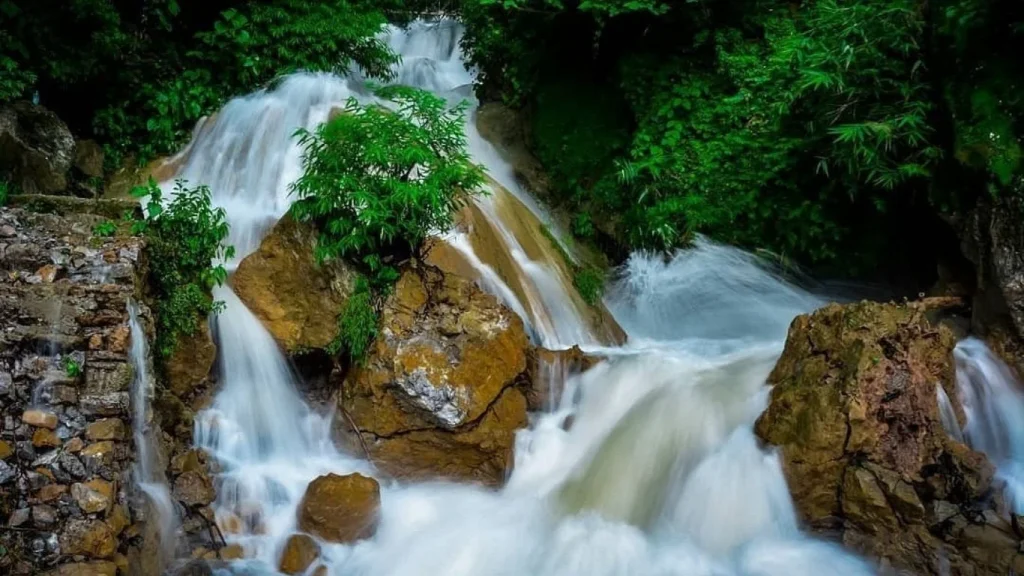 Must Visit Places In Rishikesh