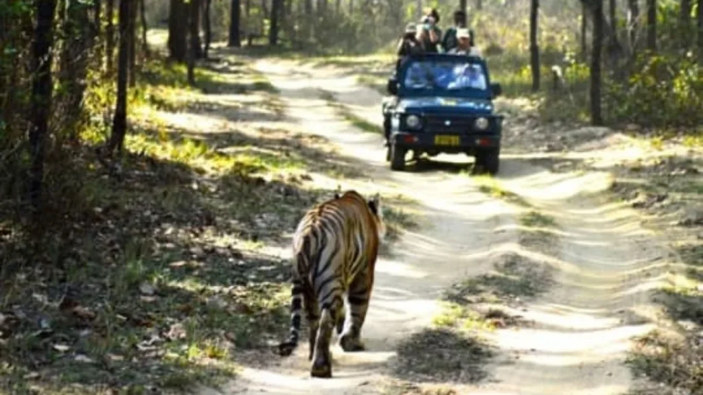 Must Visit Places In Rishikesh
